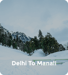 Delhi To Manali